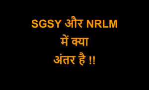 Read more about the article SGSY और NRLM में क्या अंतर है !!