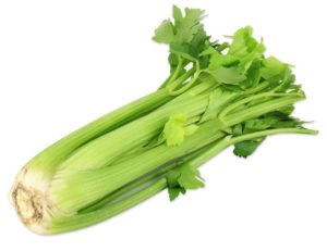 अजवायन क्या है | What is Celery in Hindi !!
