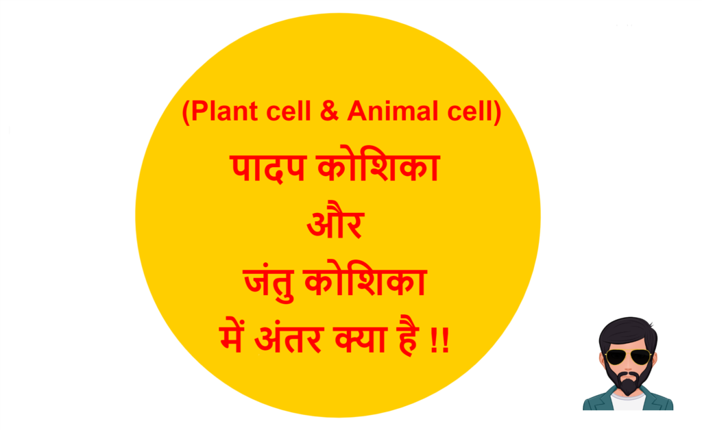 Plant Cell Animal Cell Difference In Hindi à¤ª à¤¦à¤ª à¤• à¤¶ à¤• à¤