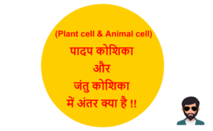 Read more about the article (Plant cell & Animal cell) पादप कोशिका और जंतु कोशिका में क्या अंतर है !!