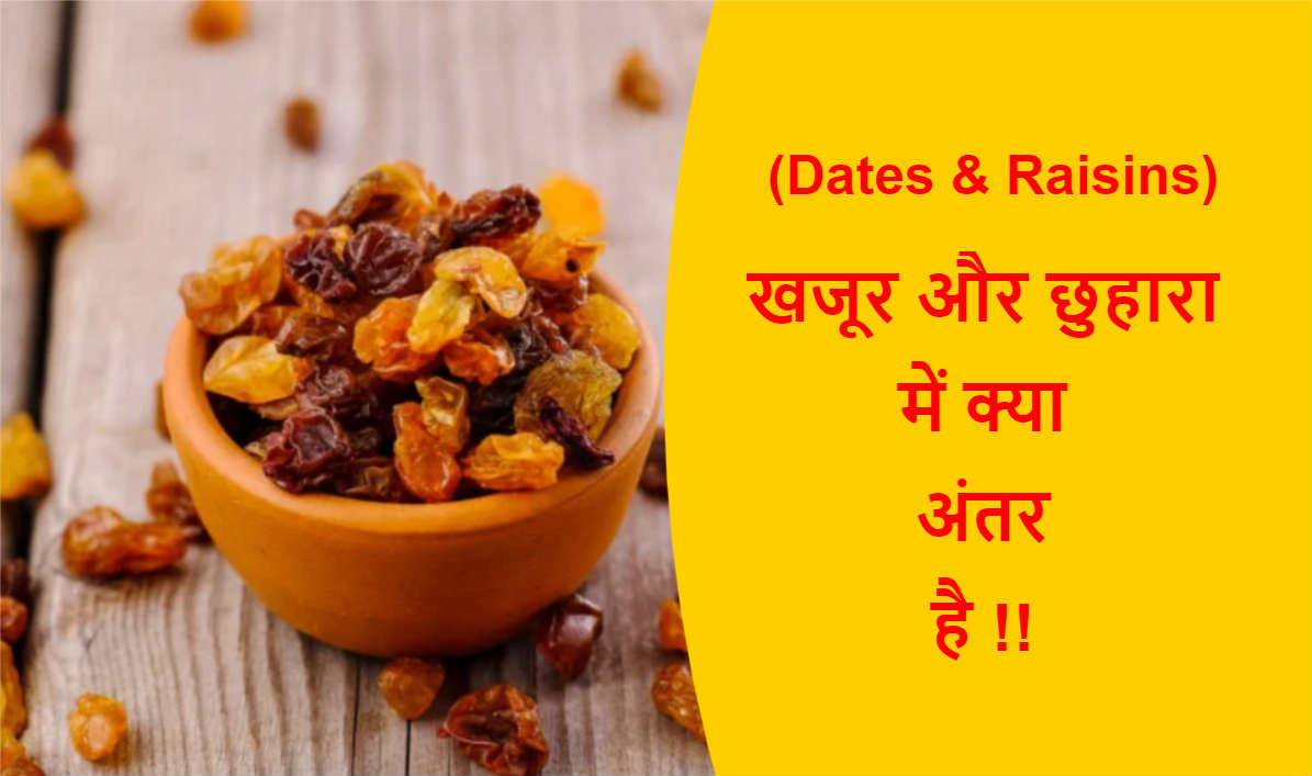 Read more about the article (Dates & Raisins) खजूर और छुहारा में क्या अंतर है !!