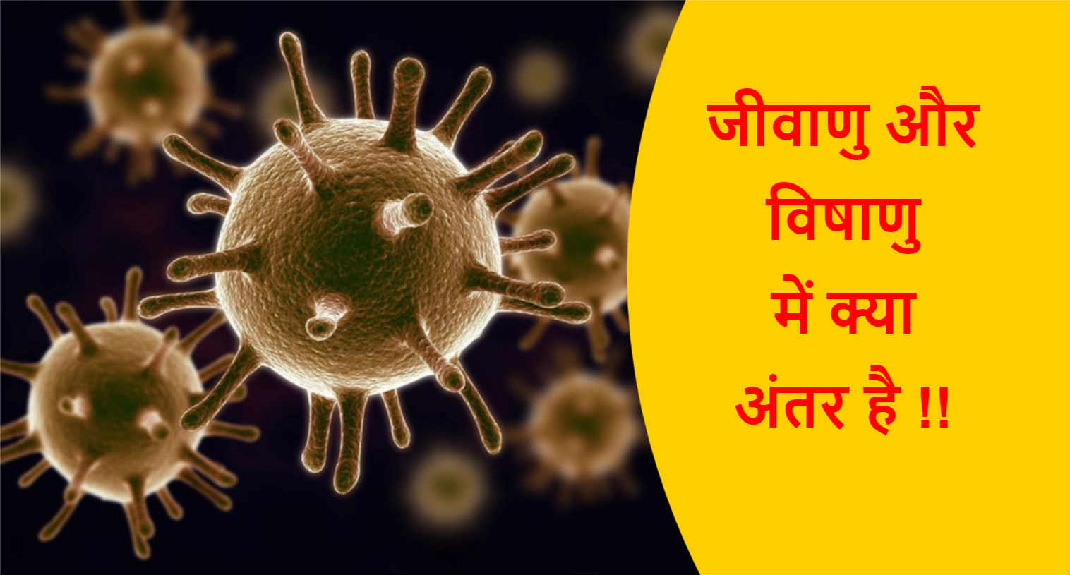 Read more about the article जीवाणु और विषाणु में क्या अंतर है !!