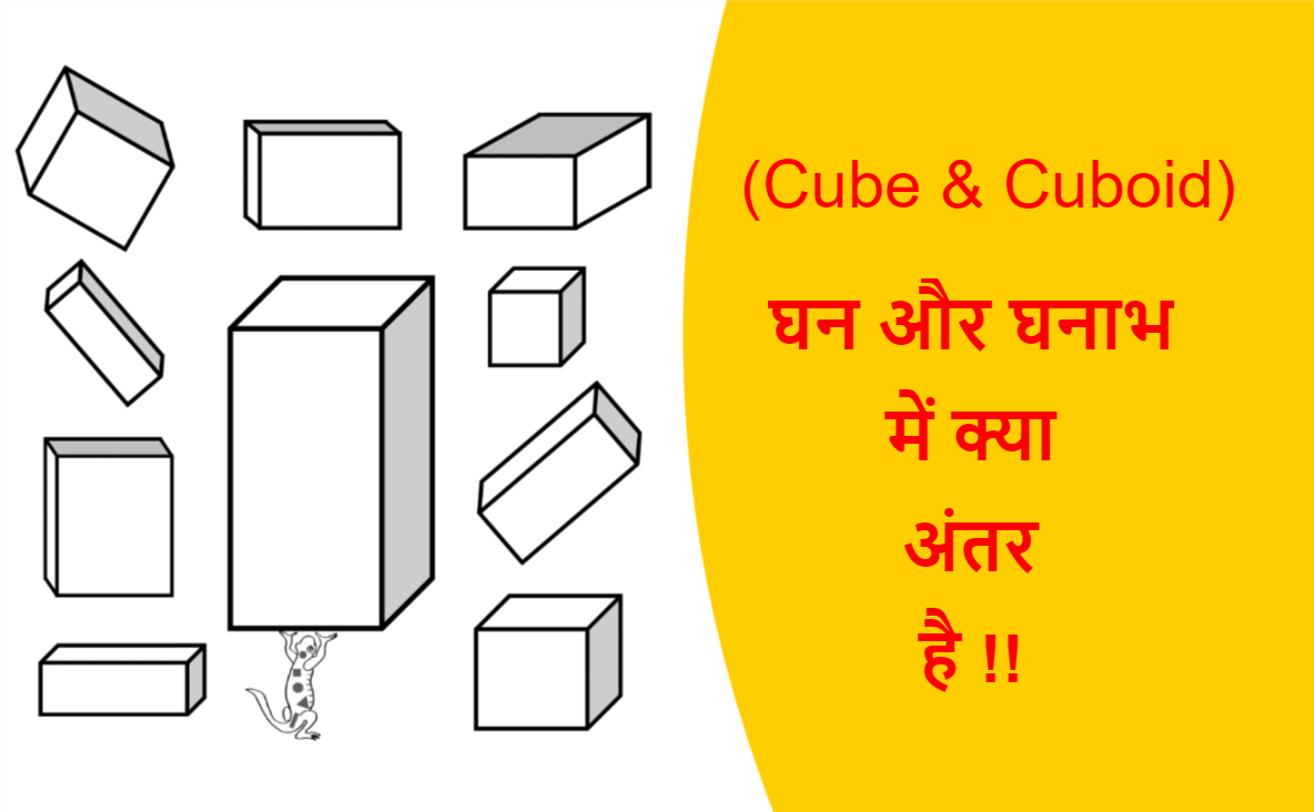 You are currently viewing (Cube & Cuboid) घन और घनाभ में क्या अंतर है !!