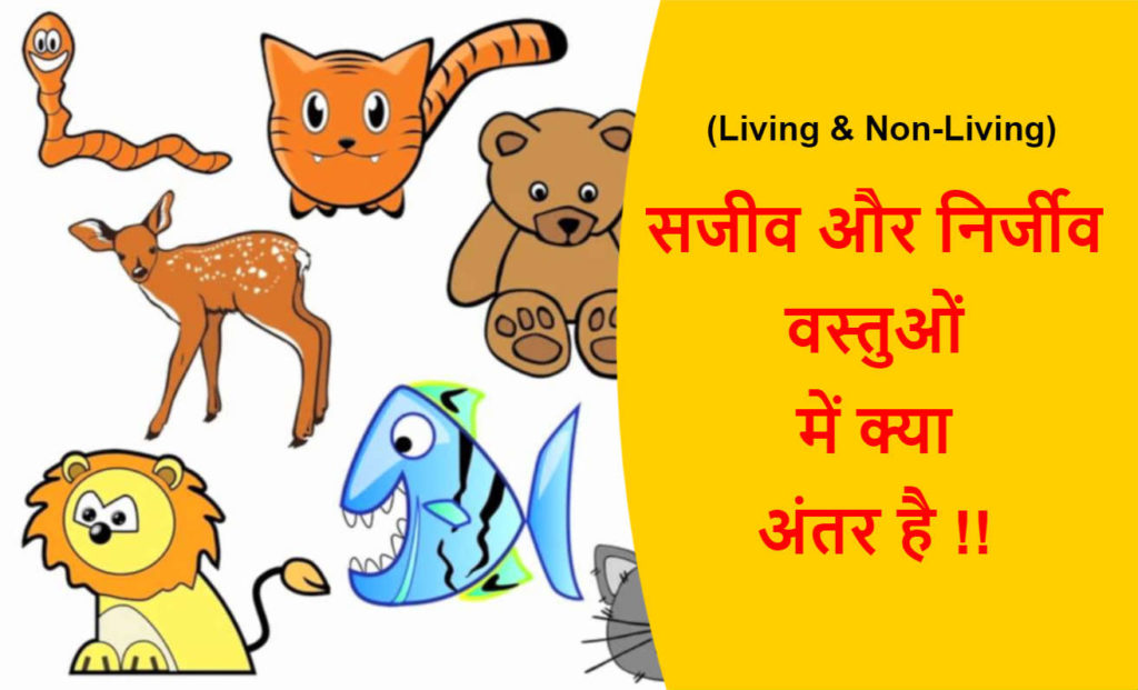 Living And Non Living Things Difference In Hindi सजीव और निर्जीव वस्तुओं में अंतर