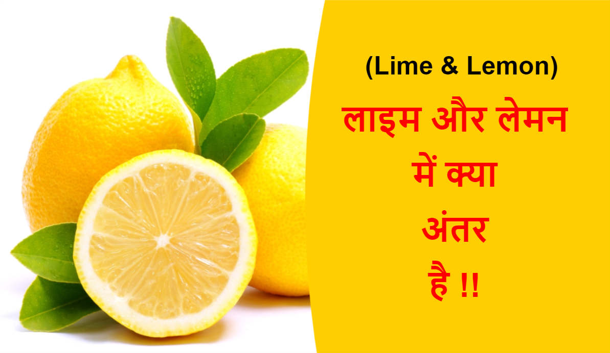 Read more about the article (Lime & Lemon) लाइम और लेमन में क्या अंतर है !!
