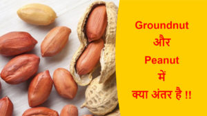 Read more about the article Groundnut और Peanut में क्या अंतर है !!