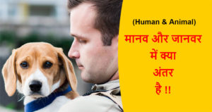Read more about the article (Human & Animal) मानव और जानवर में क्या अंतर है !!