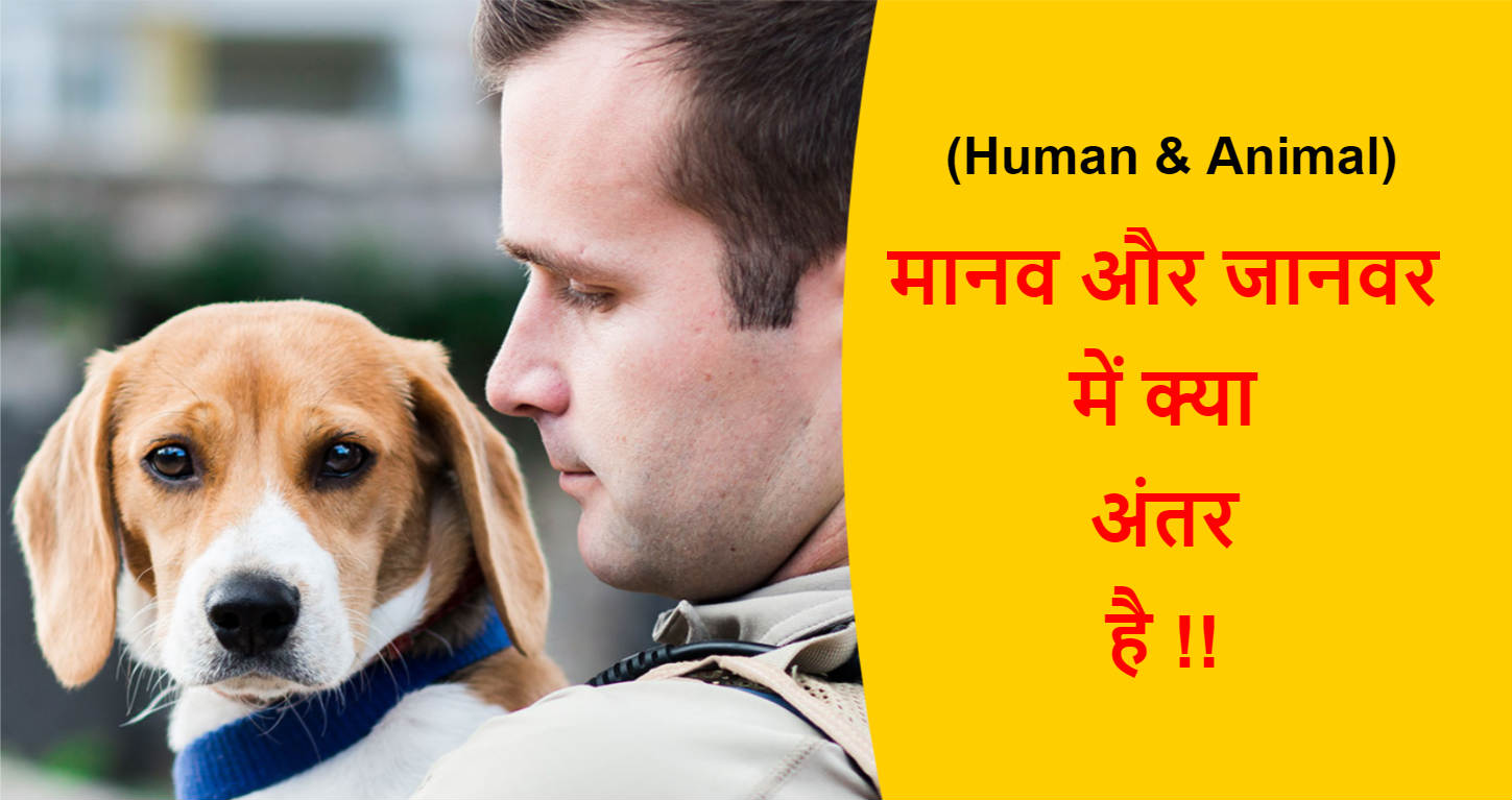 Human and Animal Difference in Hindi | मानव और जानवर में क्या अंतर है !!