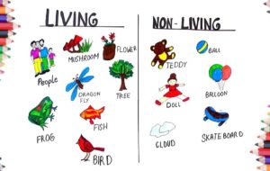 Difference Between Living and Non-Living Things in Hindi | सजीव और निर्जीव वस्तुओं में क्या अंतर है !!