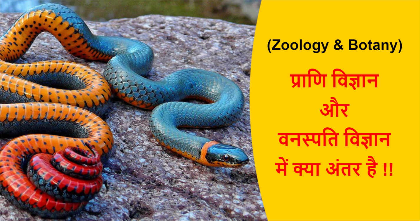 Difference between Zoology and Botany in Hindi | प्राणि विज्ञान और वनस्पति विज्ञान में क्या अंतर है !!