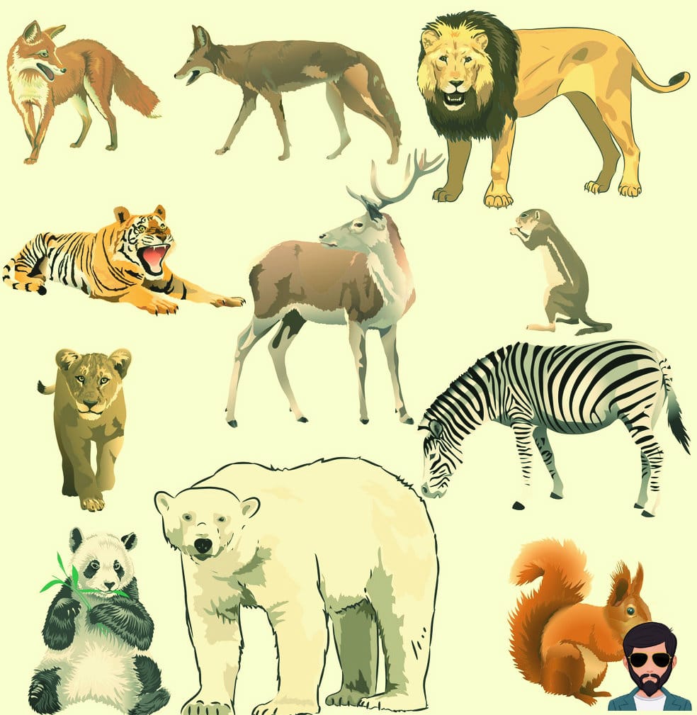 Domestic & Wild Animals Difference in Hindi | घरेलू जानवर और जंगली जानवर  में अंतर !!
