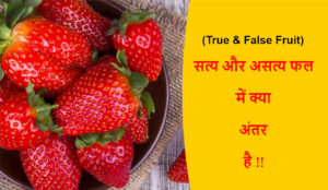 Read more about the article (True & False Fruit) सत्य फल और असत्य फल में क्या अंतर है !!