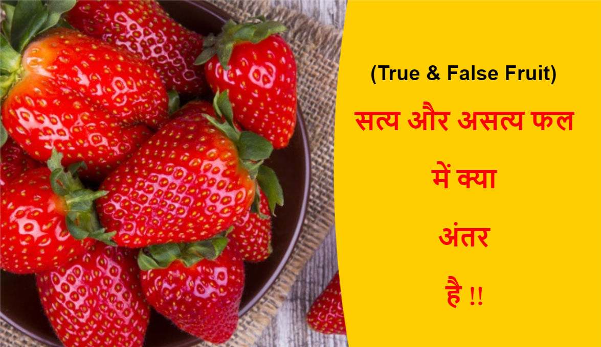 You are currently viewing (True & False Fruit) सत्य फल और असत्य फल में क्या अंतर है !!