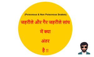 Read more about the article (Poisonous & Non Poisonous Snakes) जहरीले और गैर जहरीले सांप में क्या अंतर है !!