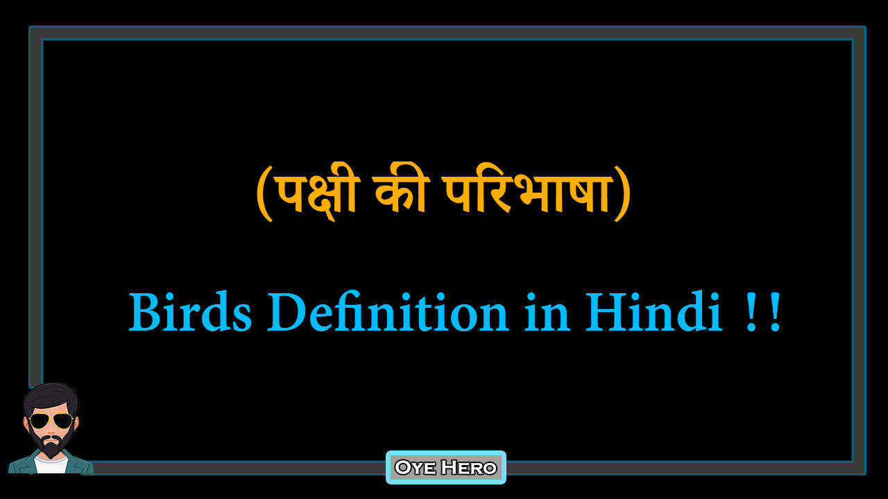 You are currently viewing (पक्षी की परिभाषा) Definition of Birds in Hindi !!