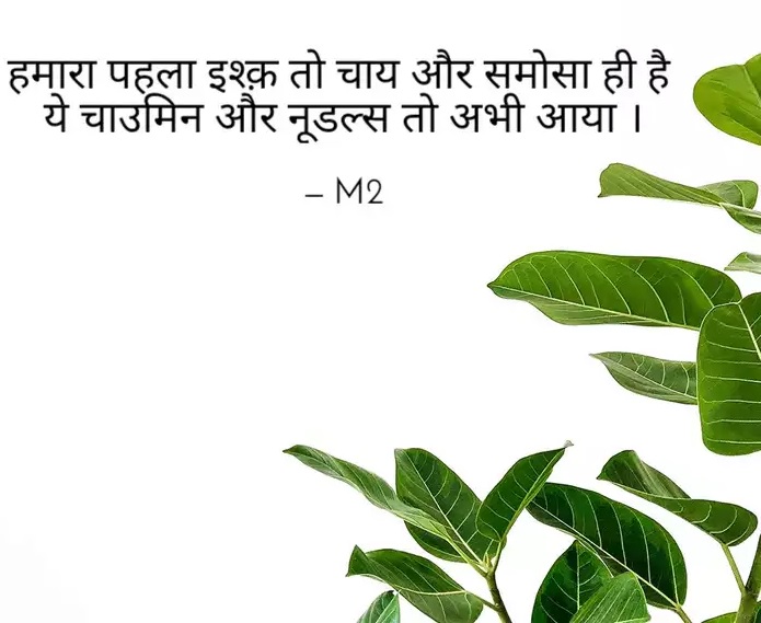 समोसा Captions Images in Hindi