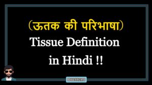 Read more about the article (ऊतक की परिभाषा) Definition of Tissue in Hindi !!
