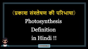 Read more about the article (प्रकाश संश्लेषण की परिभाषा) Definition of Photosynthesis in Hindi !!