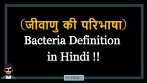 Read more about the article (जीवाणु की परिभाषा) Definition of Bacteria in Hindi !!