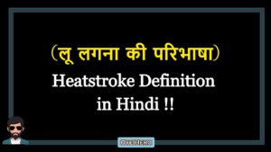 Read more about the article (लू लगना की परिभाषा) Definition of Heatstroke in Hindi !!