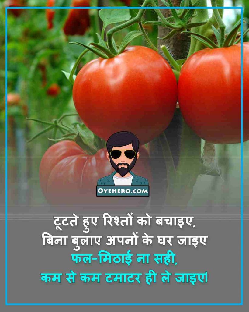 Tomato Quotes Images 